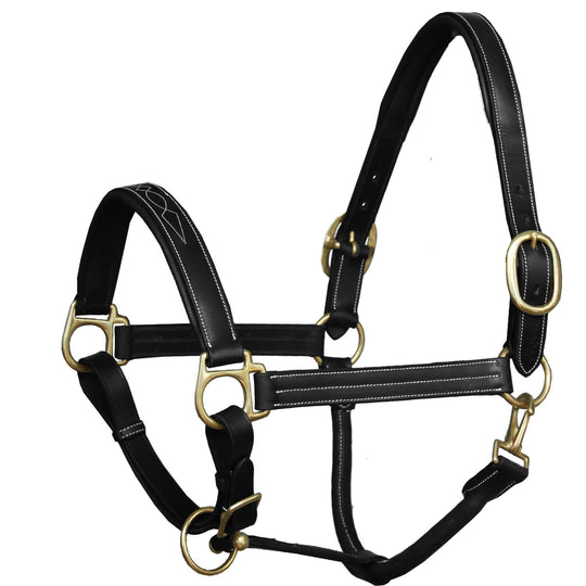 ExionPro Triple Stitched Cheek &amp; Designer Fancy Padded Leather Halter-Brass Buckles