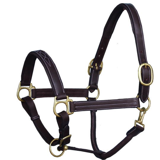 ExionPro Triple Stitched Cheek &amp; Designer Fancy Padded Leather Halter-Brass Buckles