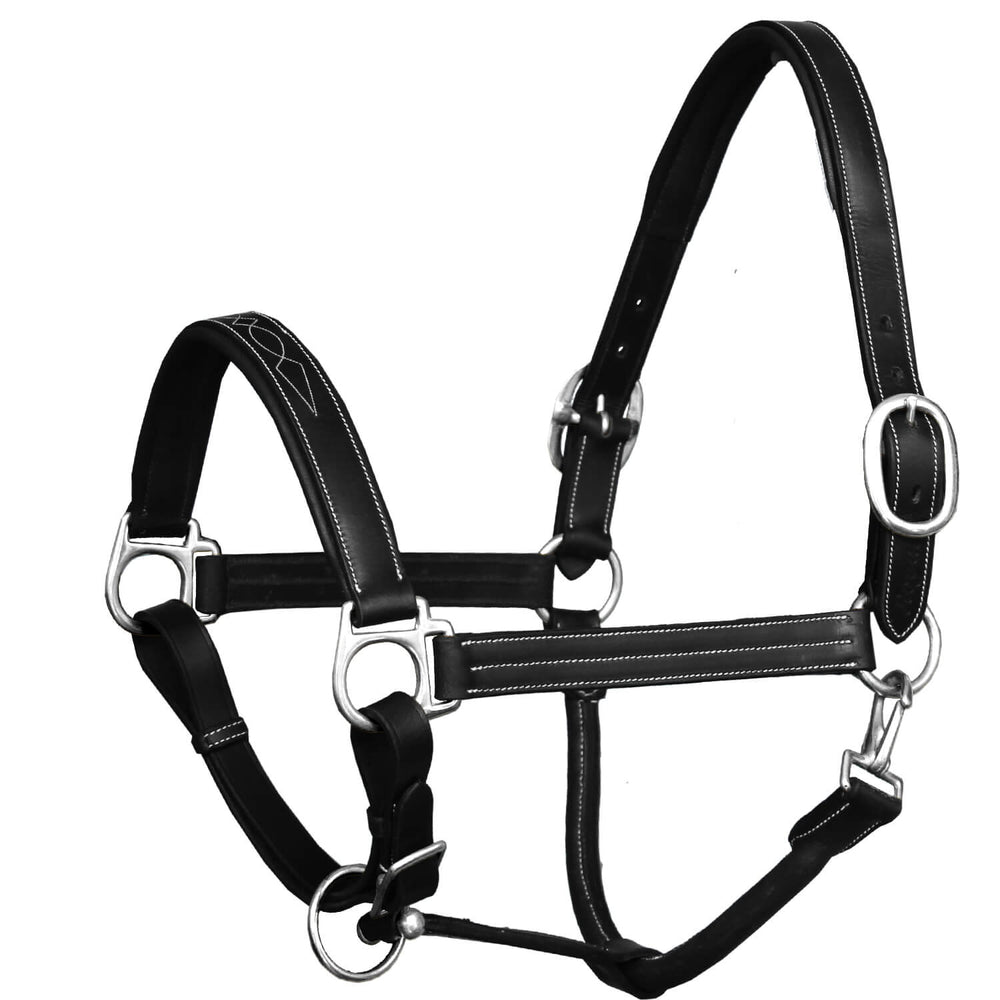 ExionPro Triple Stitched Cheek & Designer Fancy Padded Leather Halter - Brass Nickel Buckles