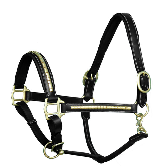 ExionPro Gold Brass Clincher Studded Horse Halter