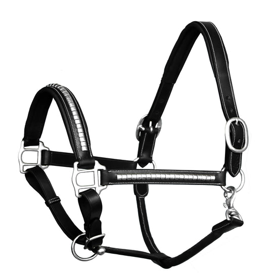 ExionPro Silver Brass Clincher Studded Horse Halter
