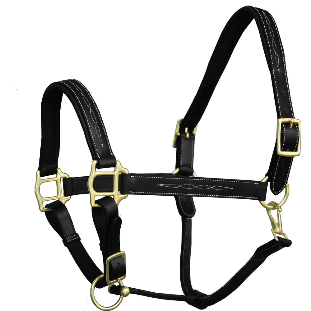 ExionPro Six Fancy Padded Halter-Brass Hardware