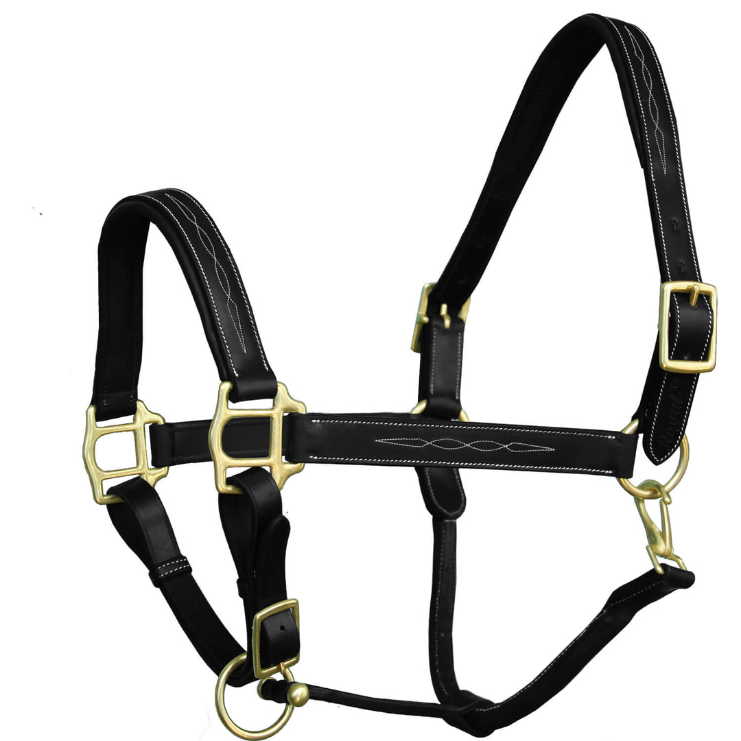 ExionPro Six Fancy Padded Halter-Brass Hardware