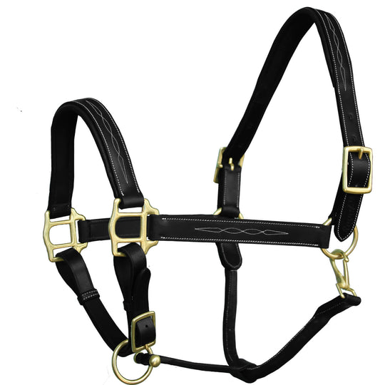 ExionPro Six Fancy Padded Halter-Brass Hardware