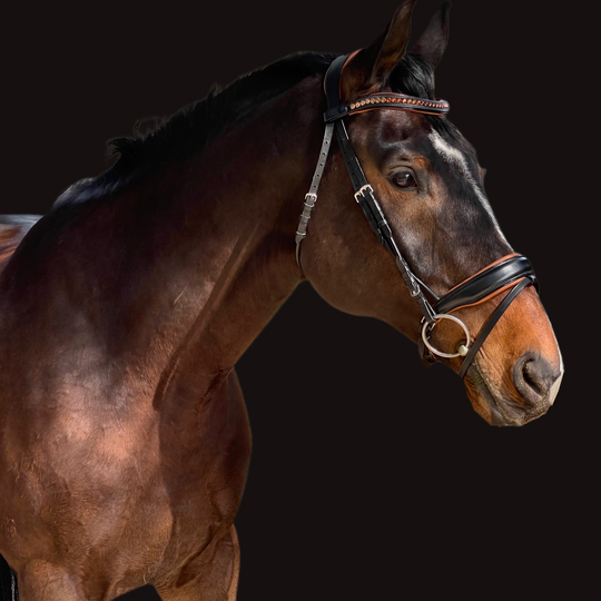 The Tuscany Black Leather Rolled Leather Snaffle Bridle with Flash