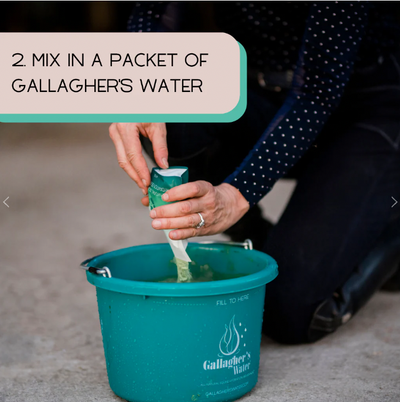 Gallagher's Water - 2 Pack