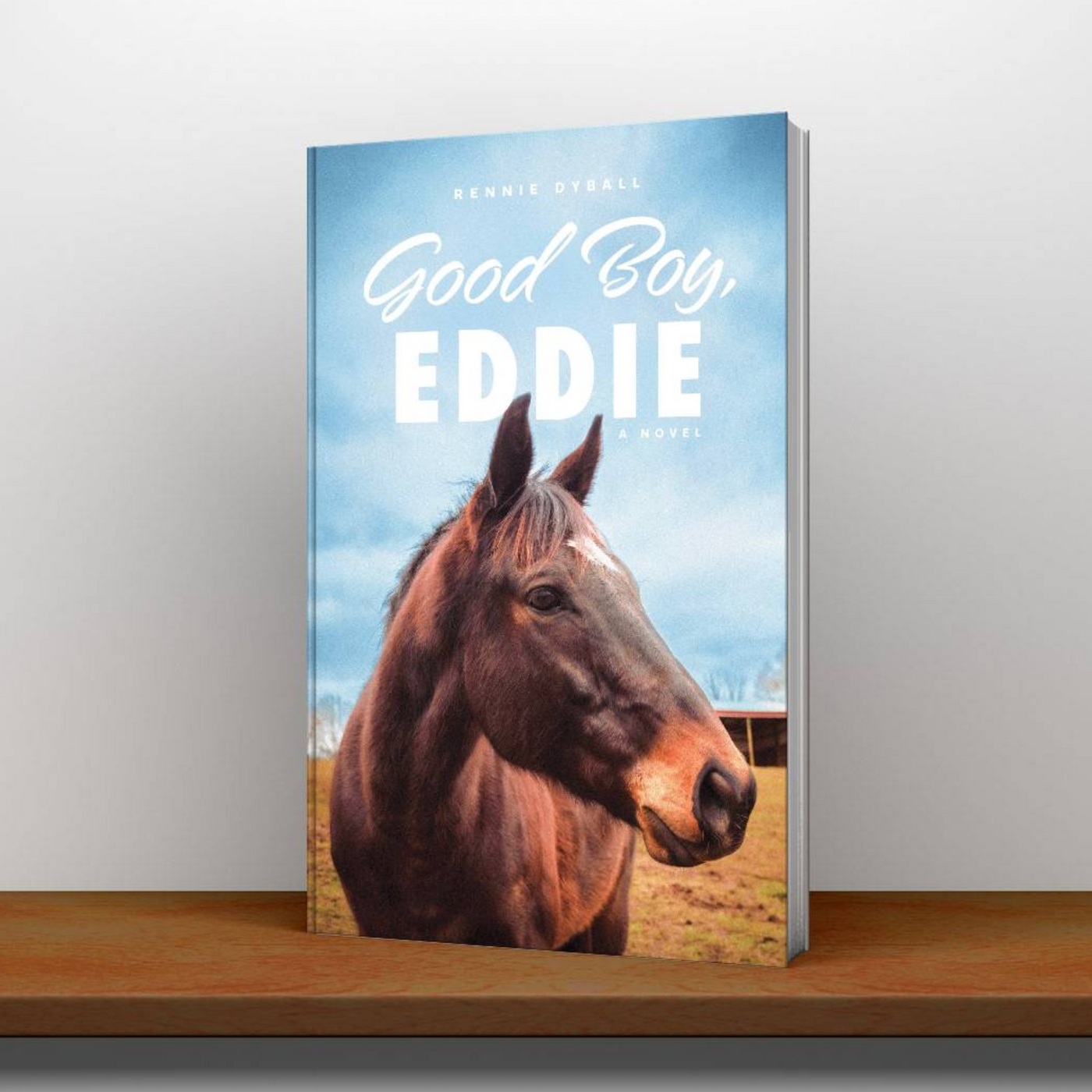 Good Boy, Eddie.  A novel by Rennie Dyball