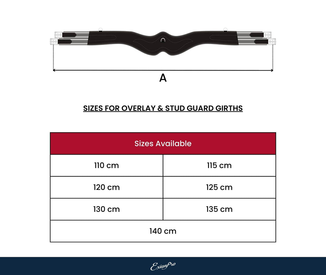 ExionPro Fancy Stitched Snap Over Lay Girth with Leather/Sheepskin Padding - Matching Elastic
