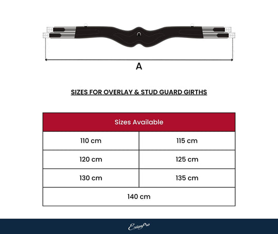 ExionPro Fancy Stitched Snap Over Lay Girth with Leather/Sheepskin Padding - Matching Elastic