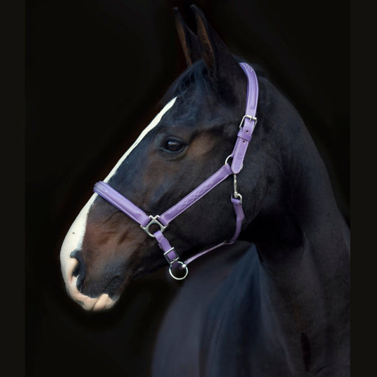 Leather Halter With Top Stitching - Violet Purple