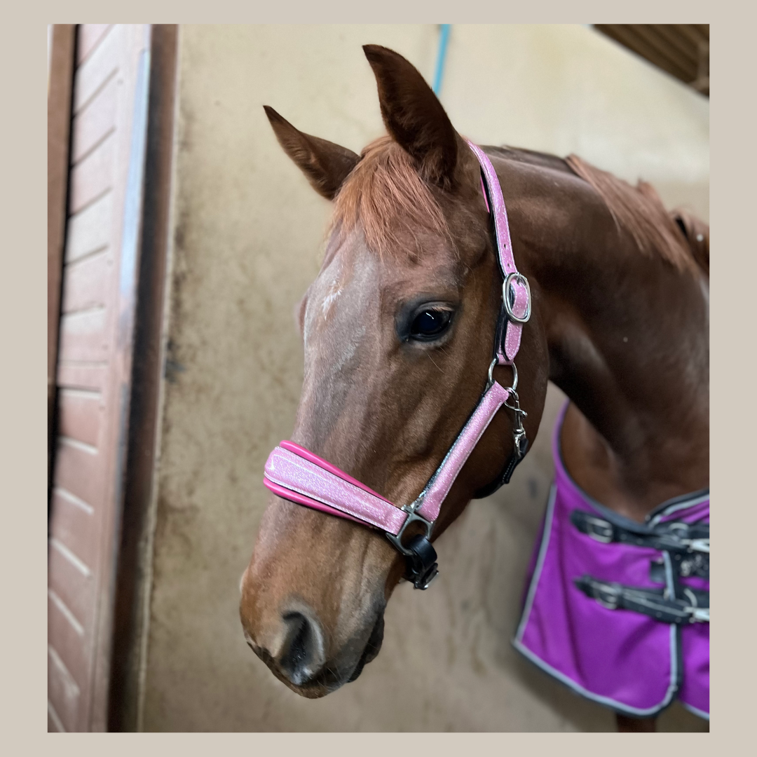 Barbie Pink Sparkle Leather Halter