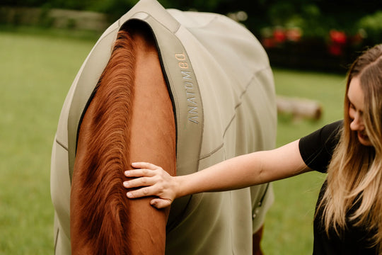 Fit Blanket 2.0