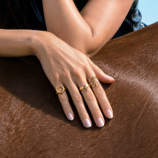 Sandro - Equestrian Horse Bit Spiral Ring in Silver