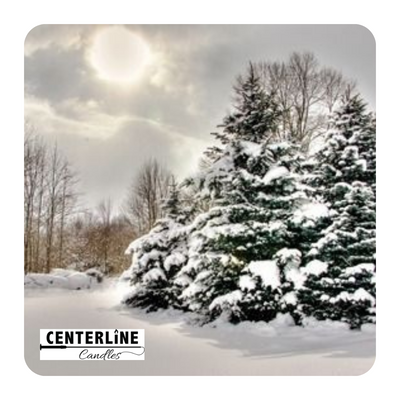 Sugared Spruce by Centerline Candles